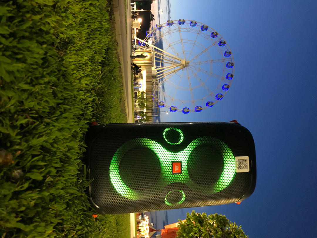 Колонки JBL PartyBox 110