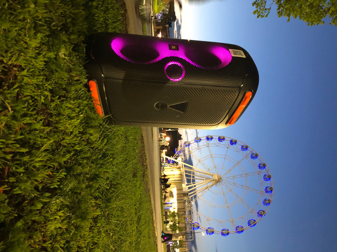 Колонки JBL PartyBox 110 - фото 2