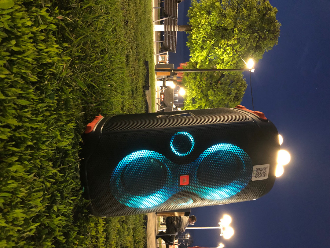 Колонки JBL PartyBox 110 - фото 3